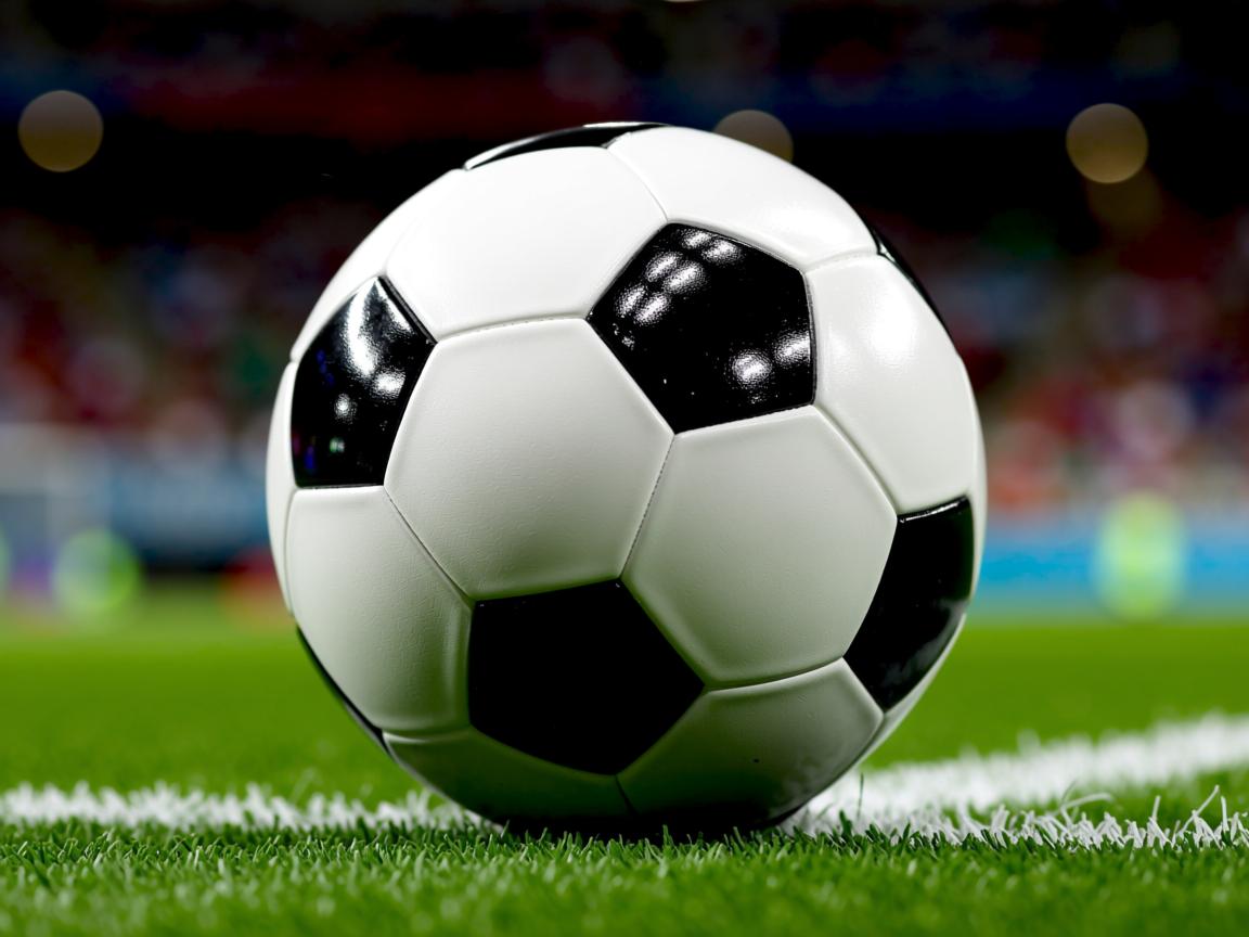 开云体育app在线-CBA球队加强个性化训练项目开发,cba的训练 第2张